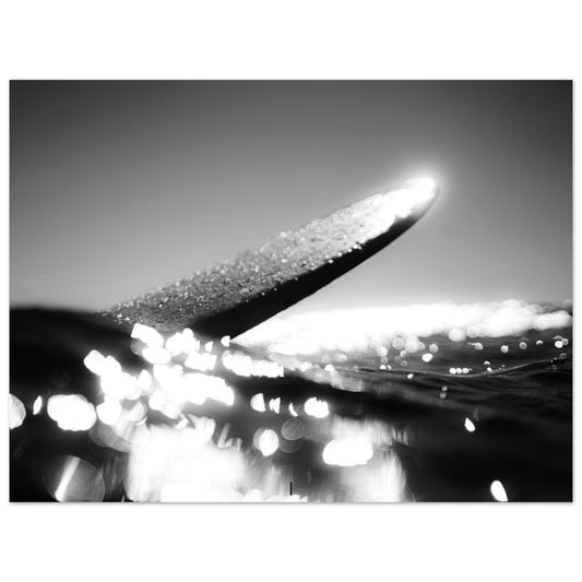 5ca635c8-a52e-4419-b44f-8ef2d3a5e04a