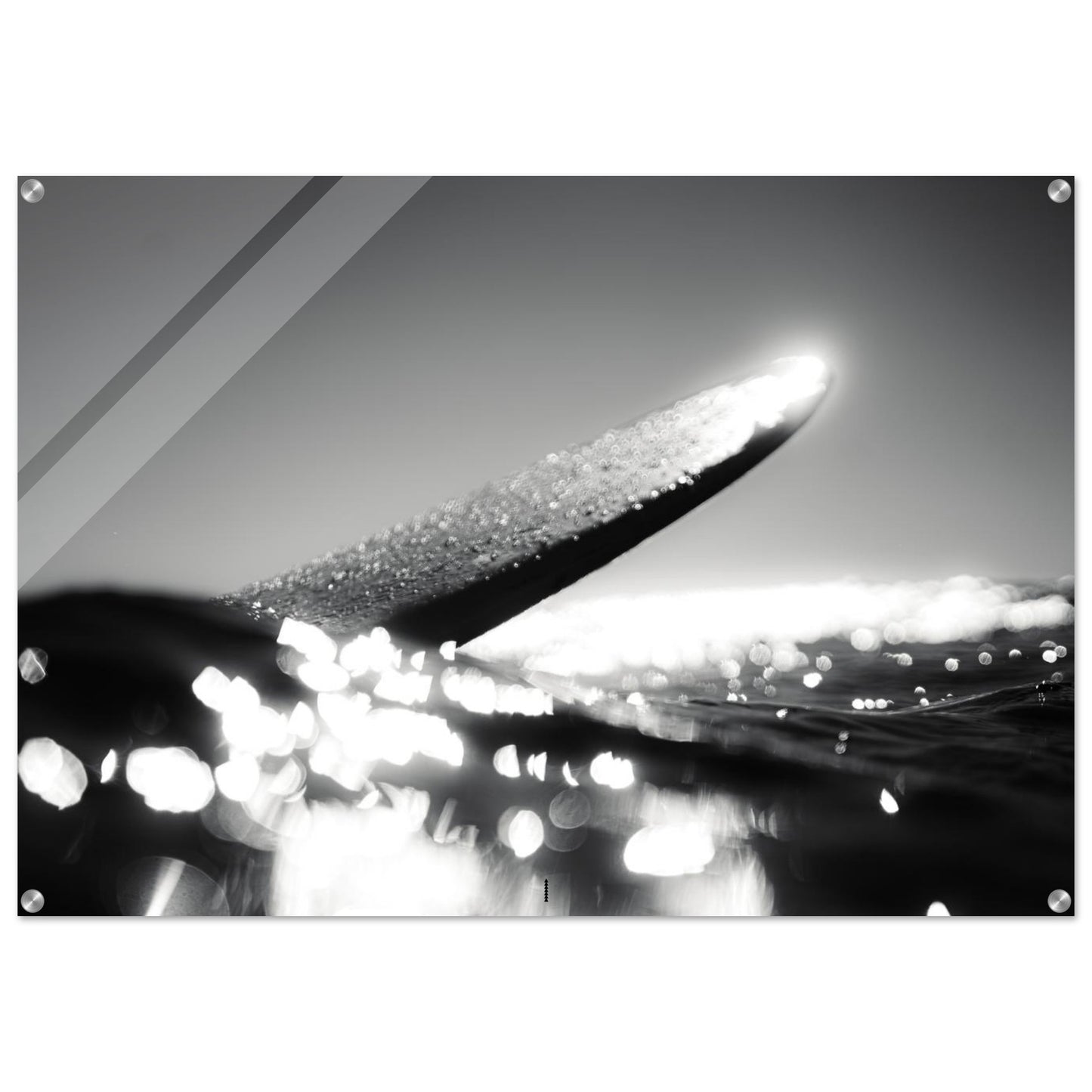8feb6232-538f-44a4-b2f7-c20931458ca1