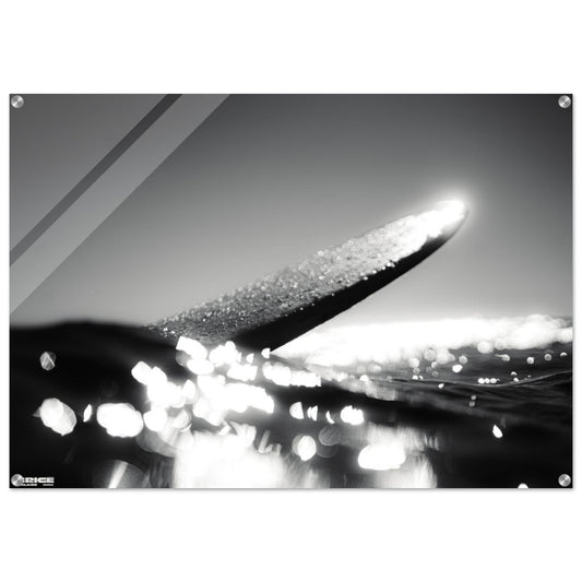 d1ef6370-2a63-4c4c-b9fb-c5a8240a268f