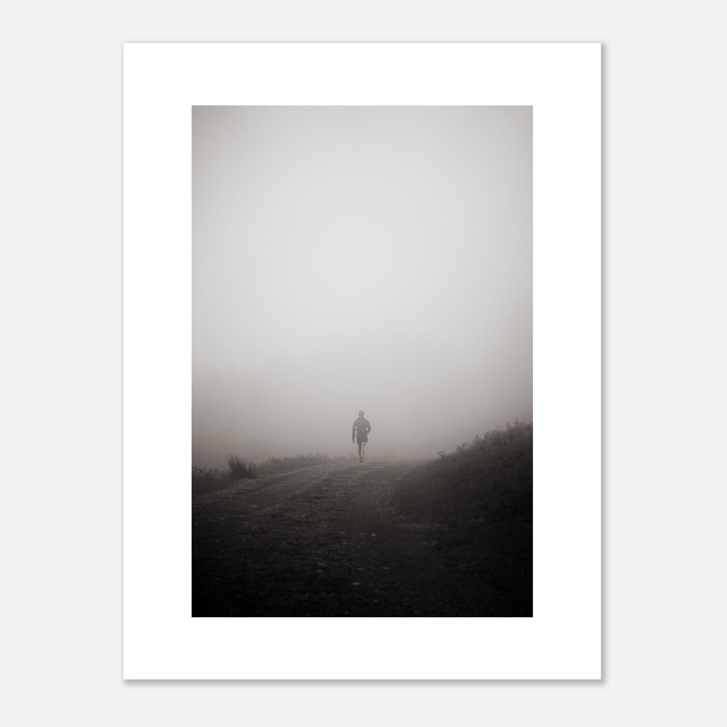 misty_walk_026