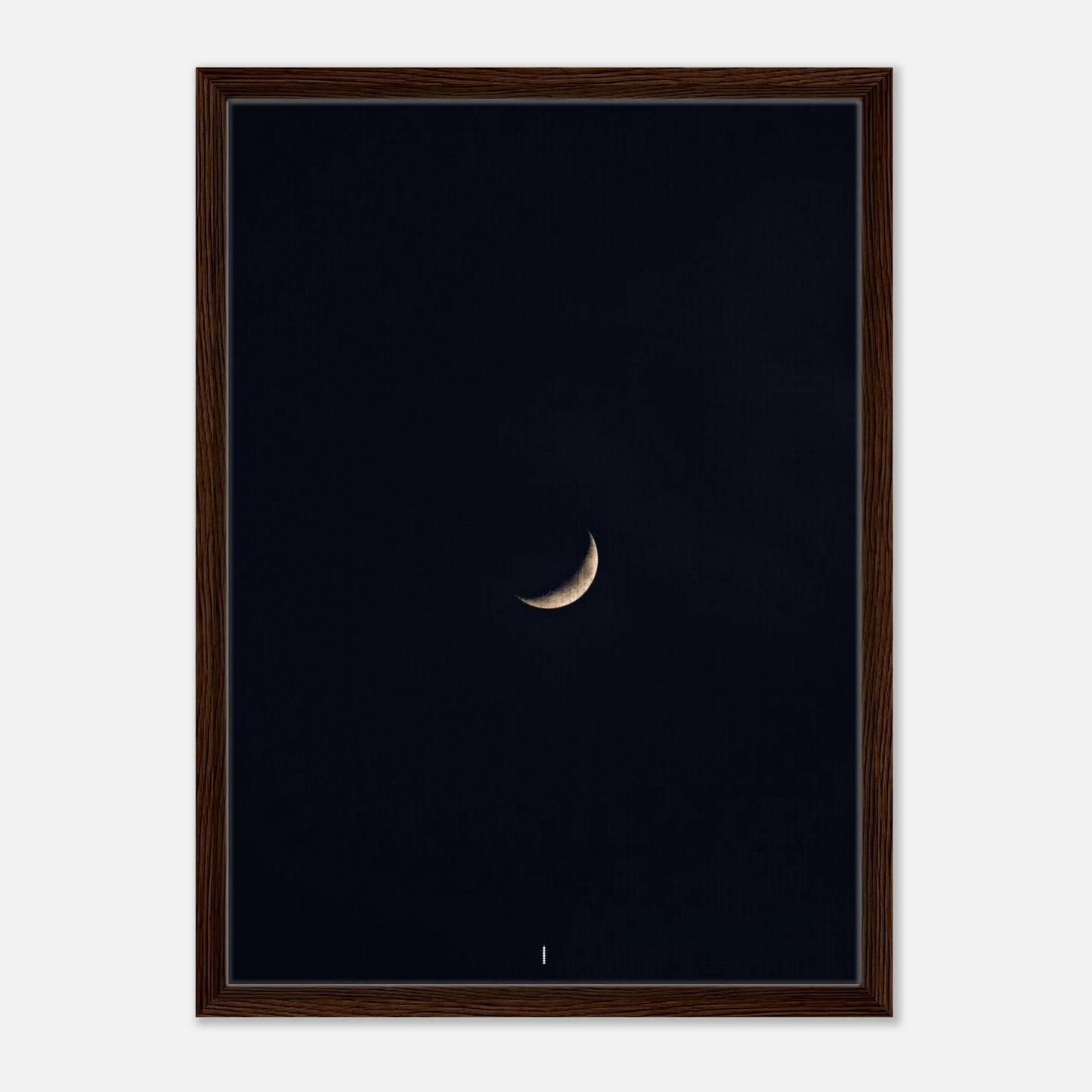 2a60901e-1644-451a-b6d7-bb55d08e8b4f