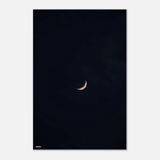 43206075-9f79-4f76-aafd-0fe19076c61e