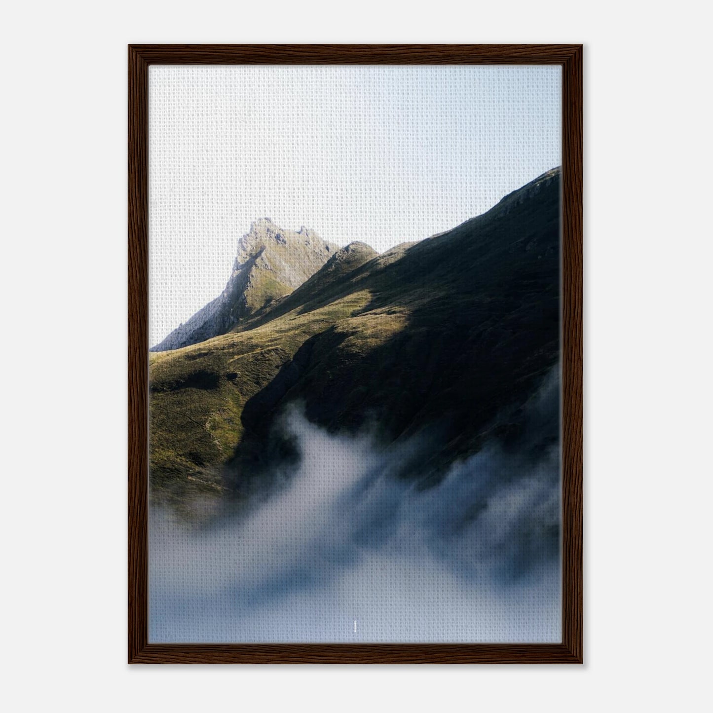 473ac480-f016-44f8-8de2-080a77e99901