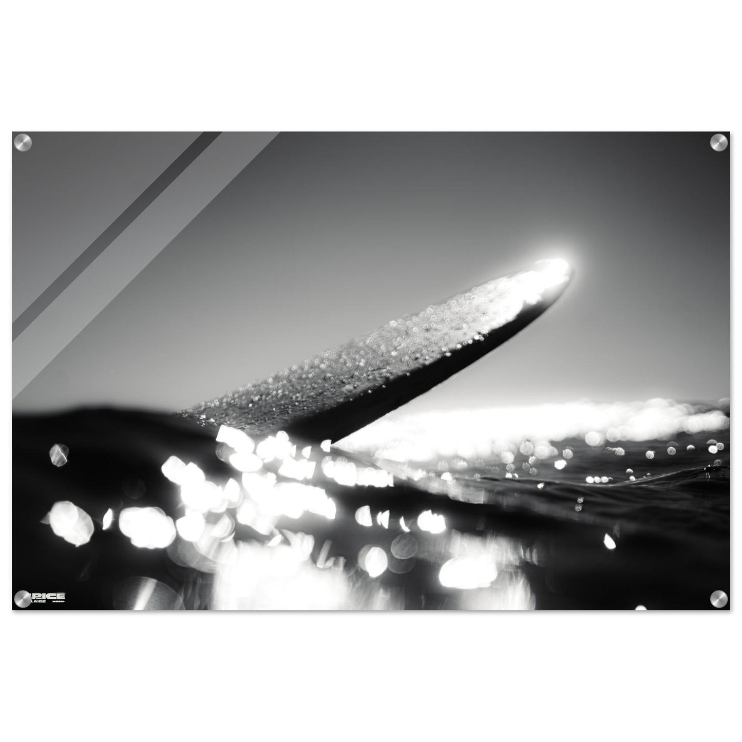 4bf554be-7984-441b-9038-dc342fd0e5e6