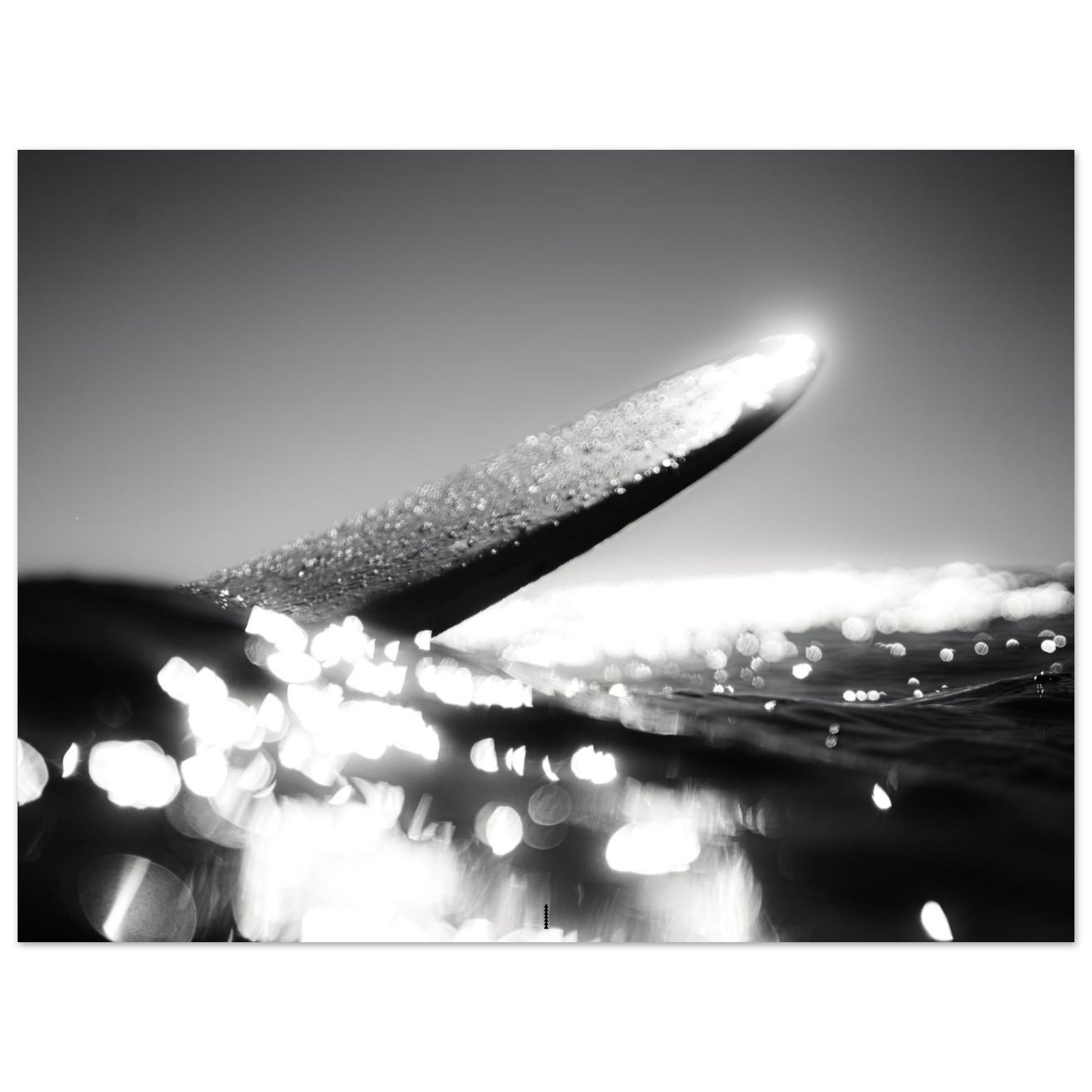 5ca635c8-a52e-4419-b44f-8ef2d3a5e04a