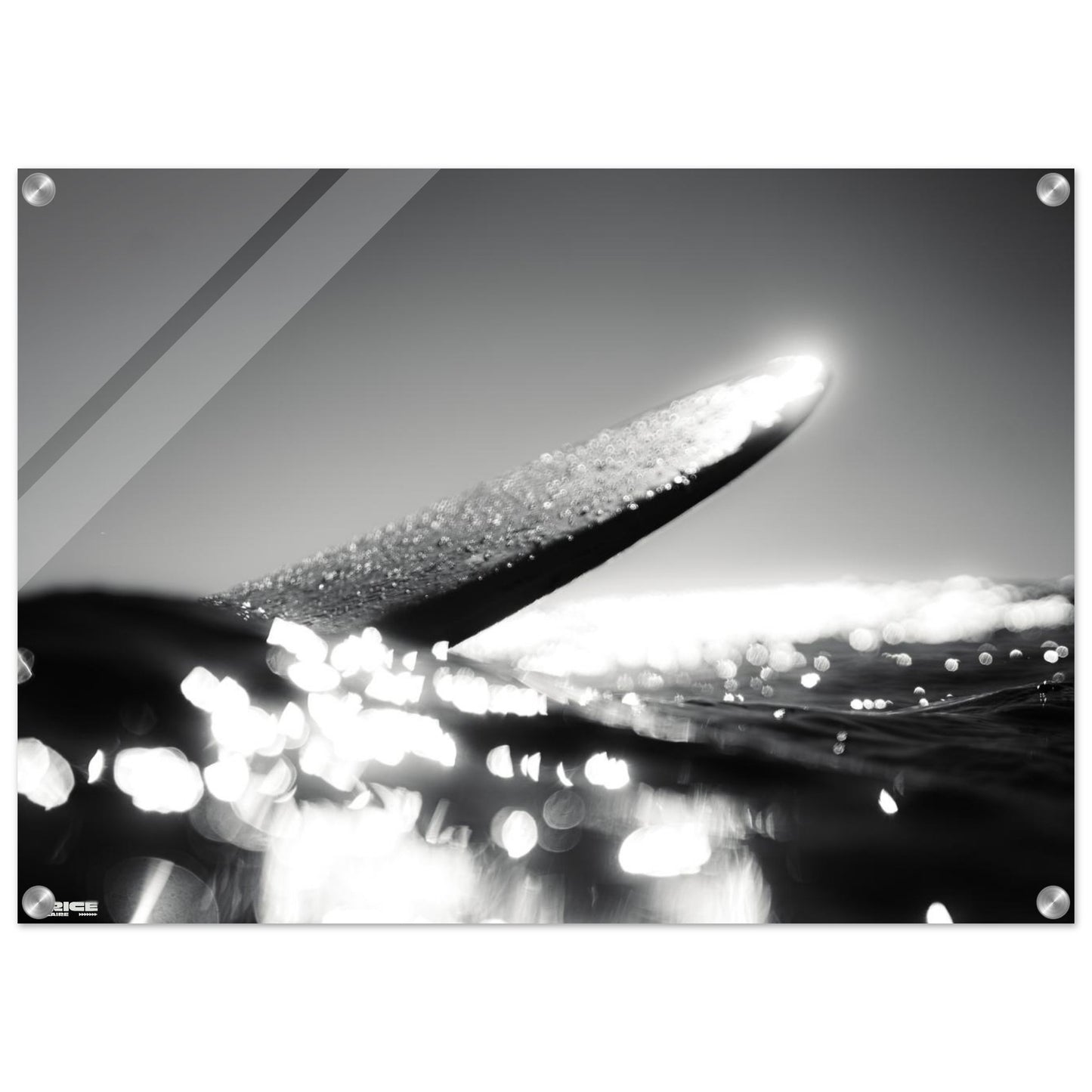 67226871-330f-4a25-b1ec-f0f1e14875c2