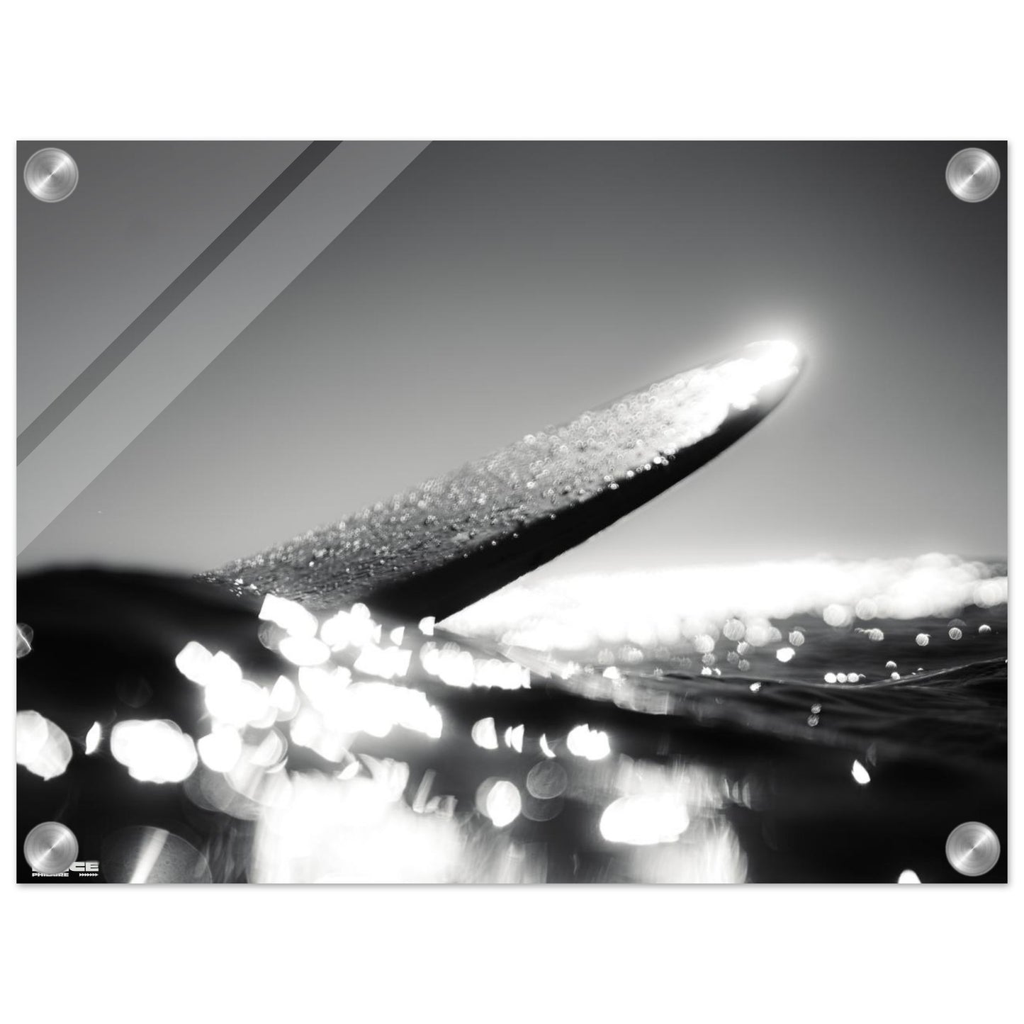 6ae1c902-1cc1-4aad-b3f7-feb95ca5d153