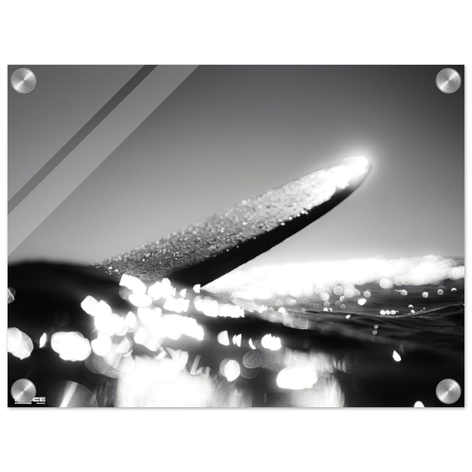 6ae1c902-1cc1-4aad-b3f7-feb95ca5d153