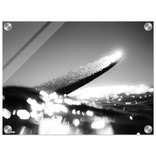 6ae1c902-1cc1-4aad-b3f7-feb95ca5d153