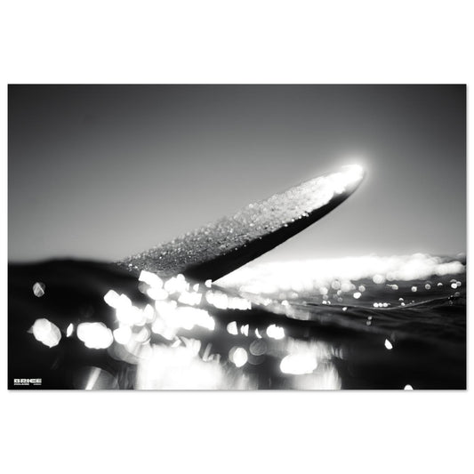 77c51267-3cfa-44a9-b053-1a538a143318