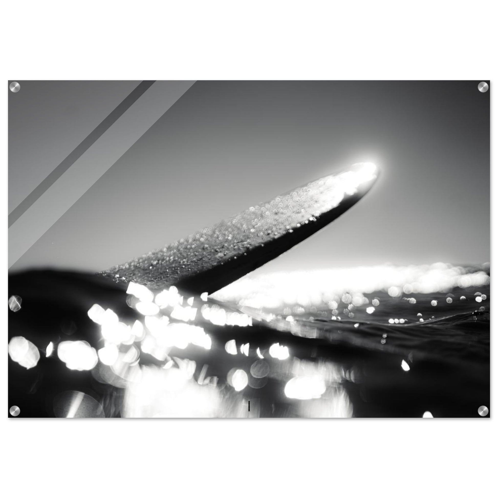 8feb6232-538f-44a4-b2f7-c20931458ca1