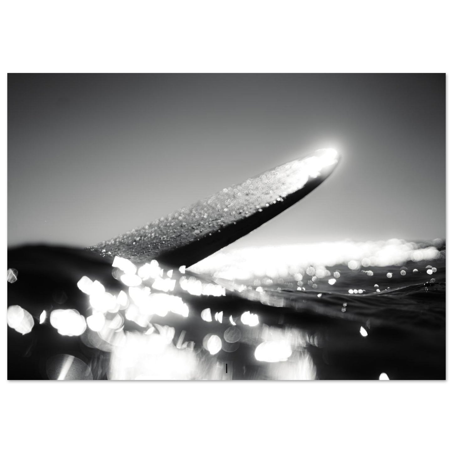 a53e5d8a-232a-4d66-b4a0-5d3c64075cb1