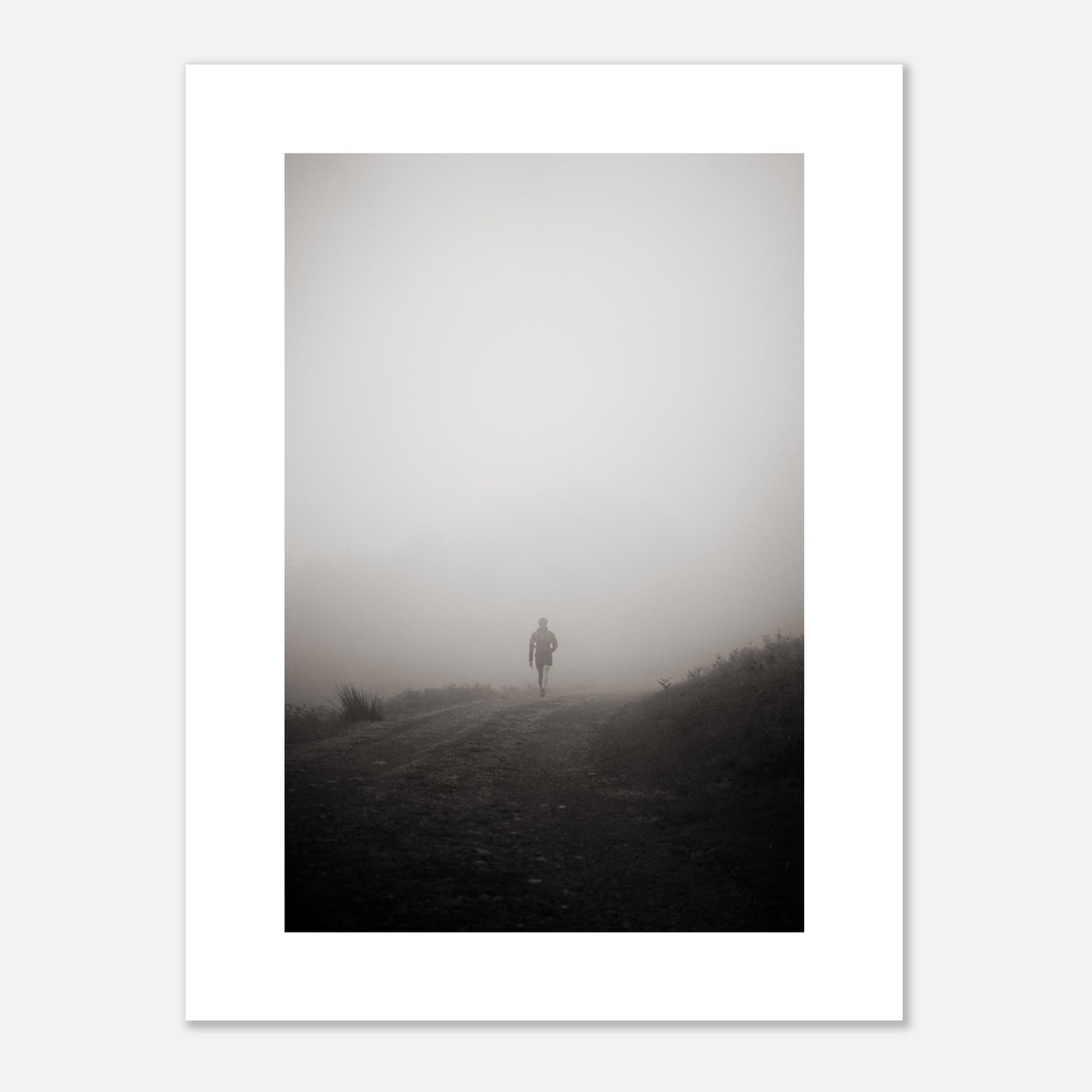 misty_walk_026