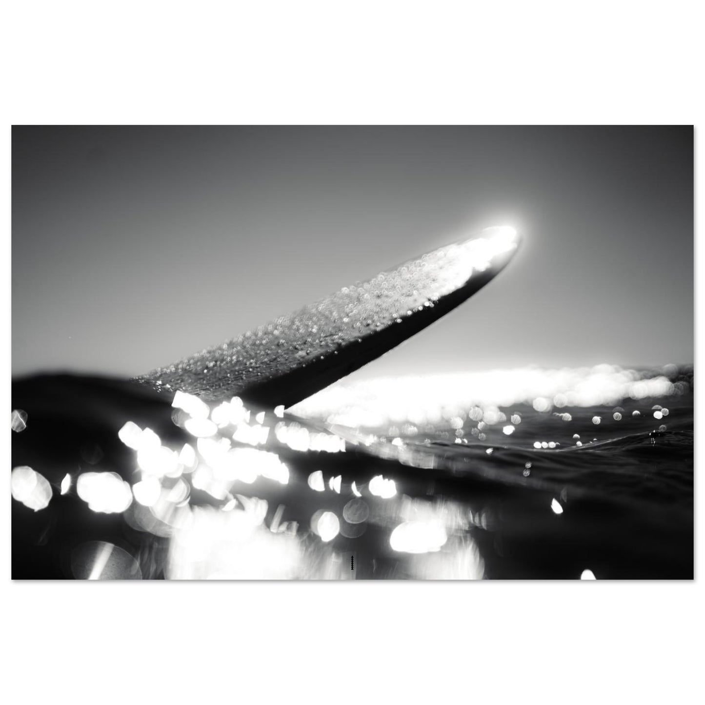 bda56c34-b67b-46bf-bced-c95bb0d4434b