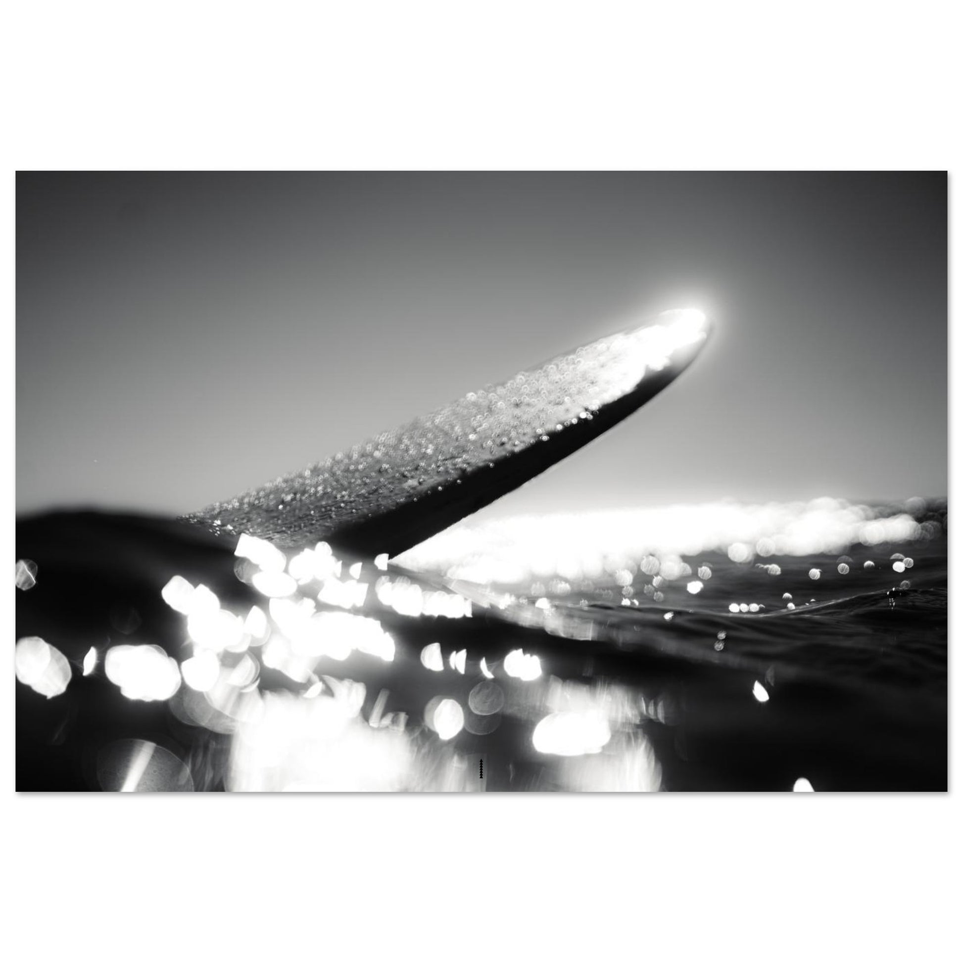 bda56c34-b67b-46bf-bced-c95bb0d4434b