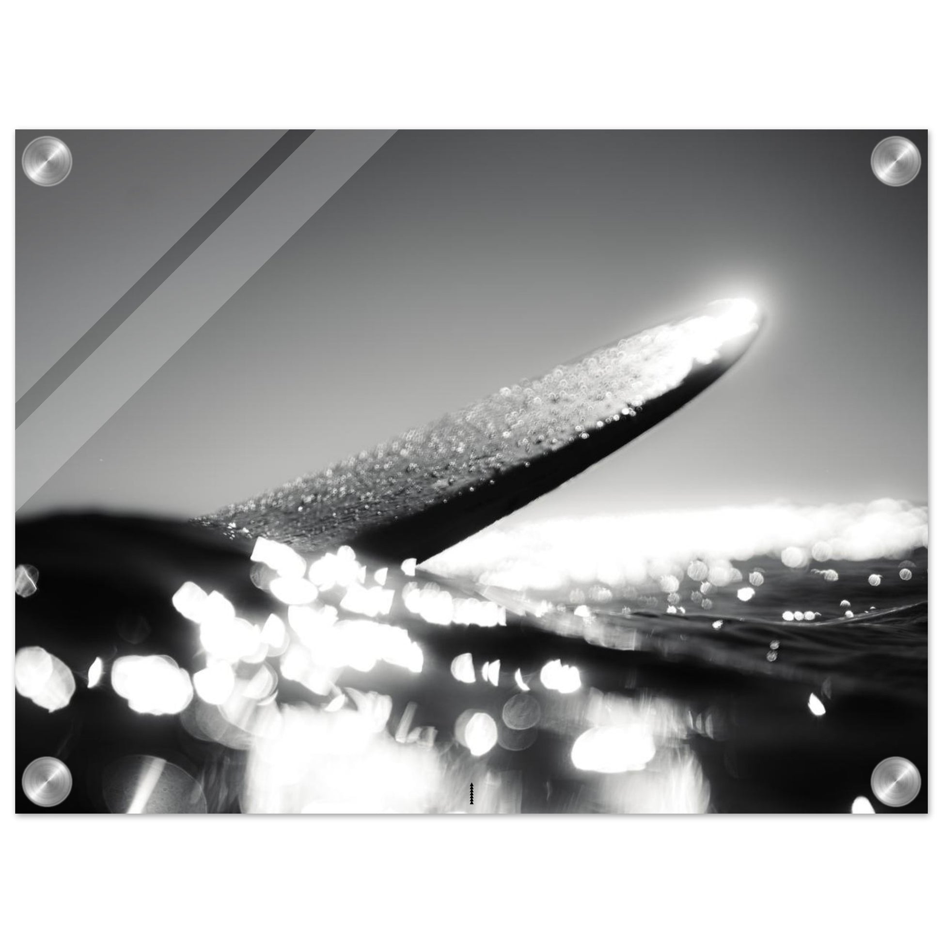 c60625be-4ebc-4f4c-88bb-e69c25e0311d