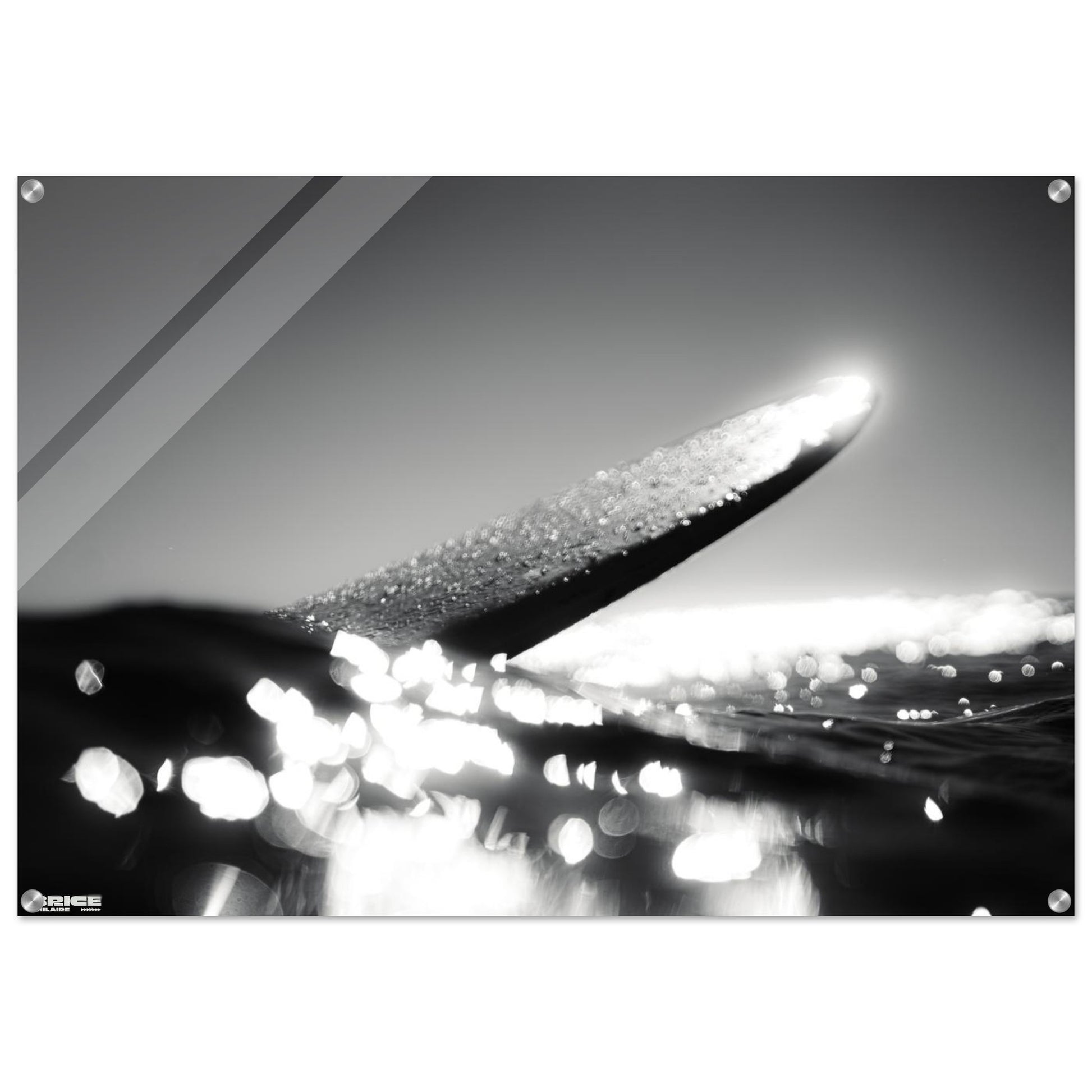 d1ef6370-2a63-4c4c-b9fb-c5a8240a268f