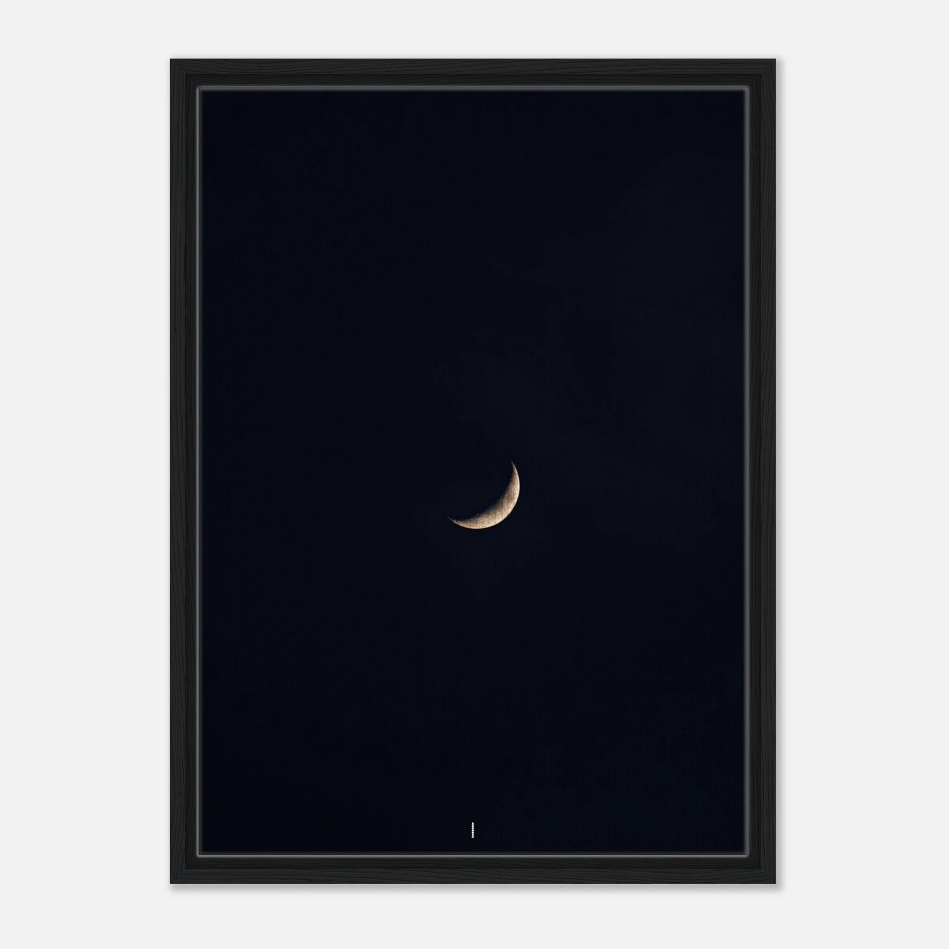 e888a967-6235-4fbf-92ba-3ddba030b2d3