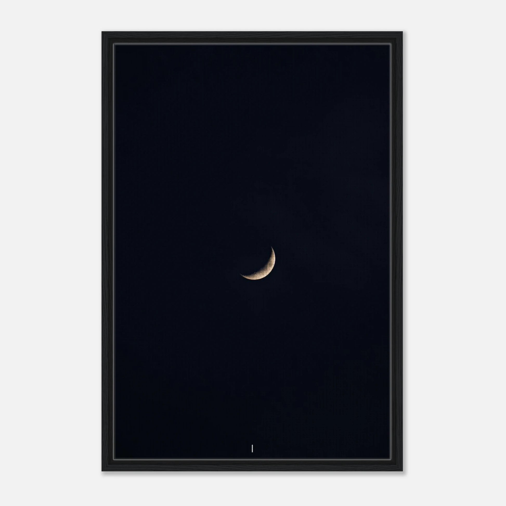 e9c5ff94-daf2-4f21-b626-a579421feaa3