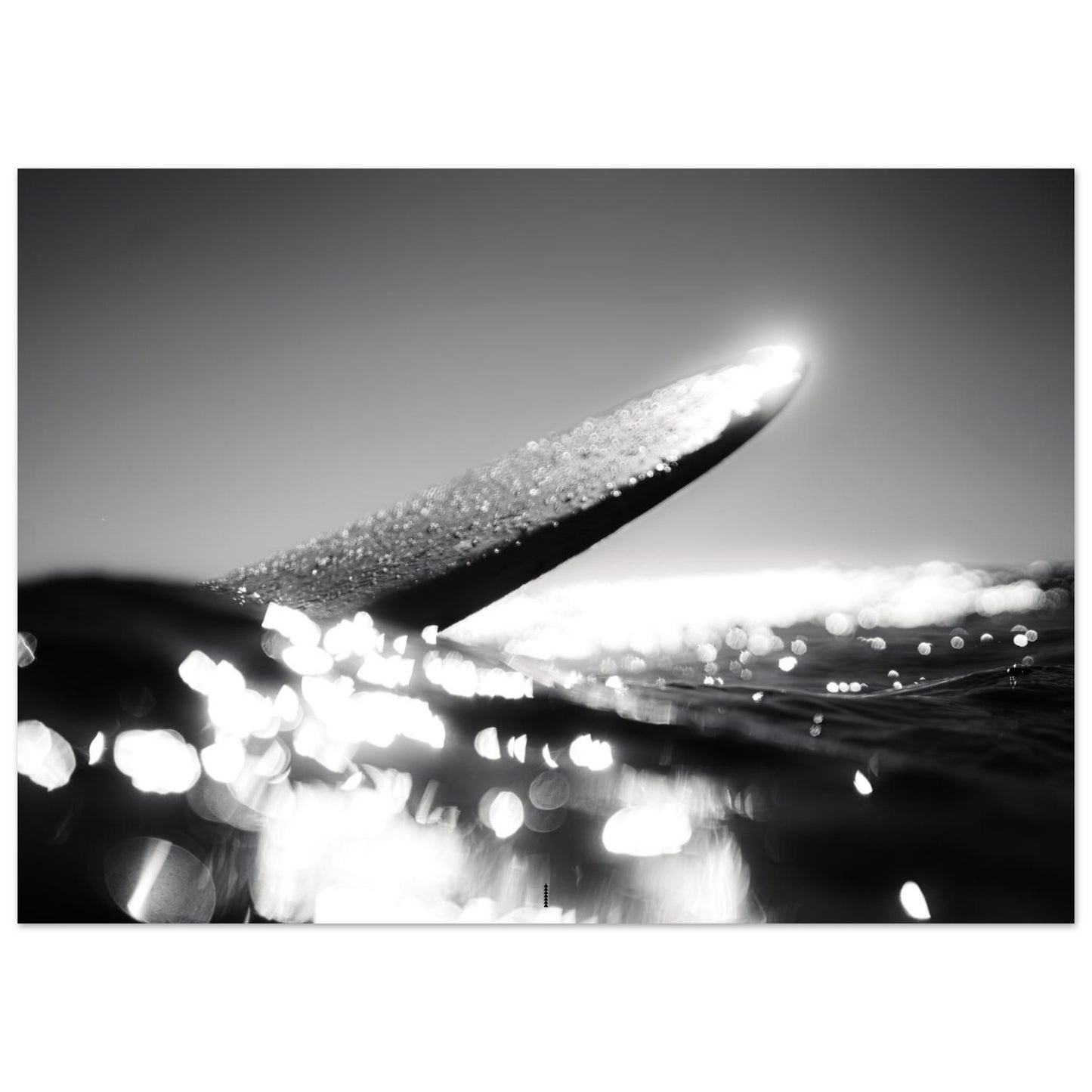 f874da7e-8266-4ec0-9275-bf20f1b59d3b