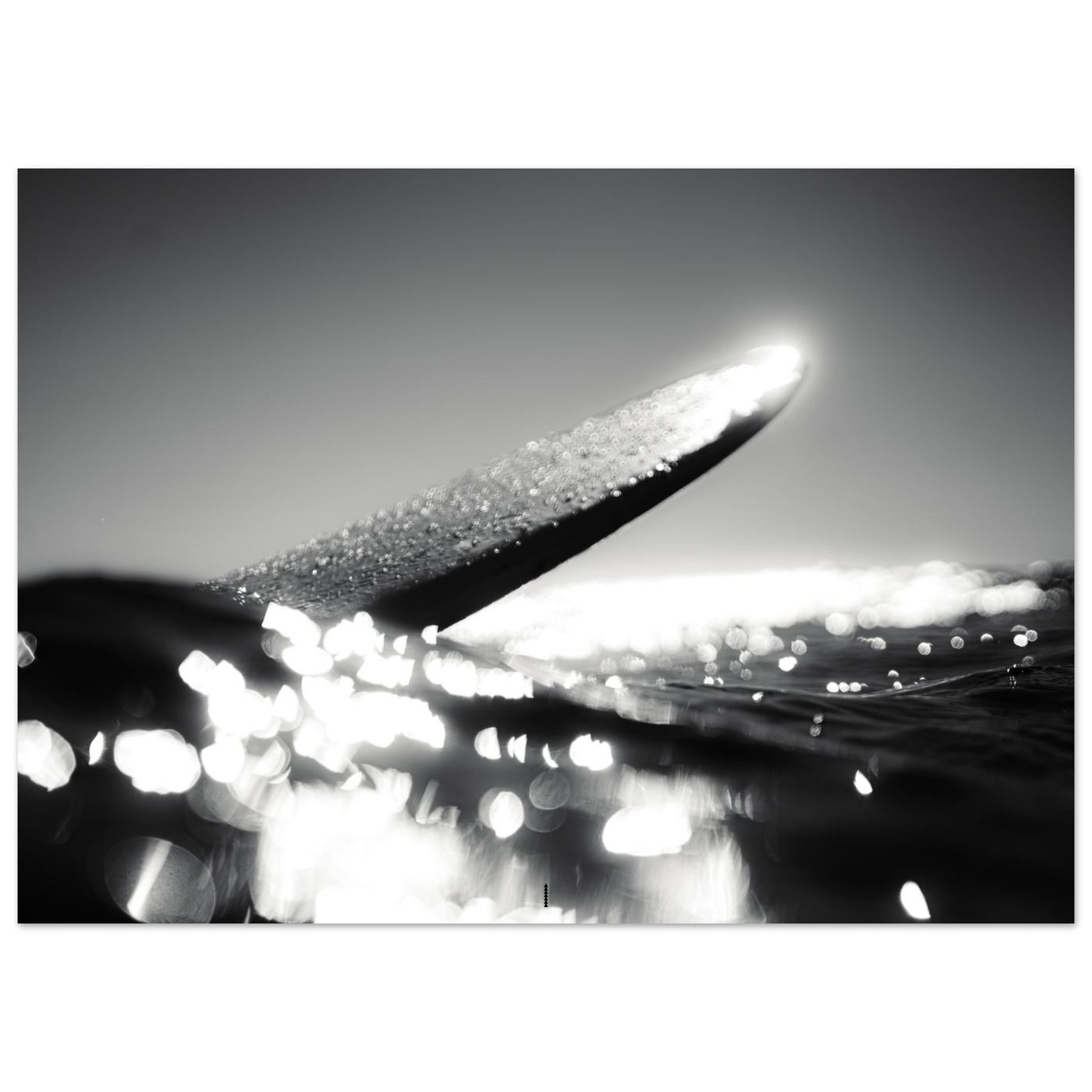 f874da7e-8266-4ec0-9275-bf20f1b59d3b